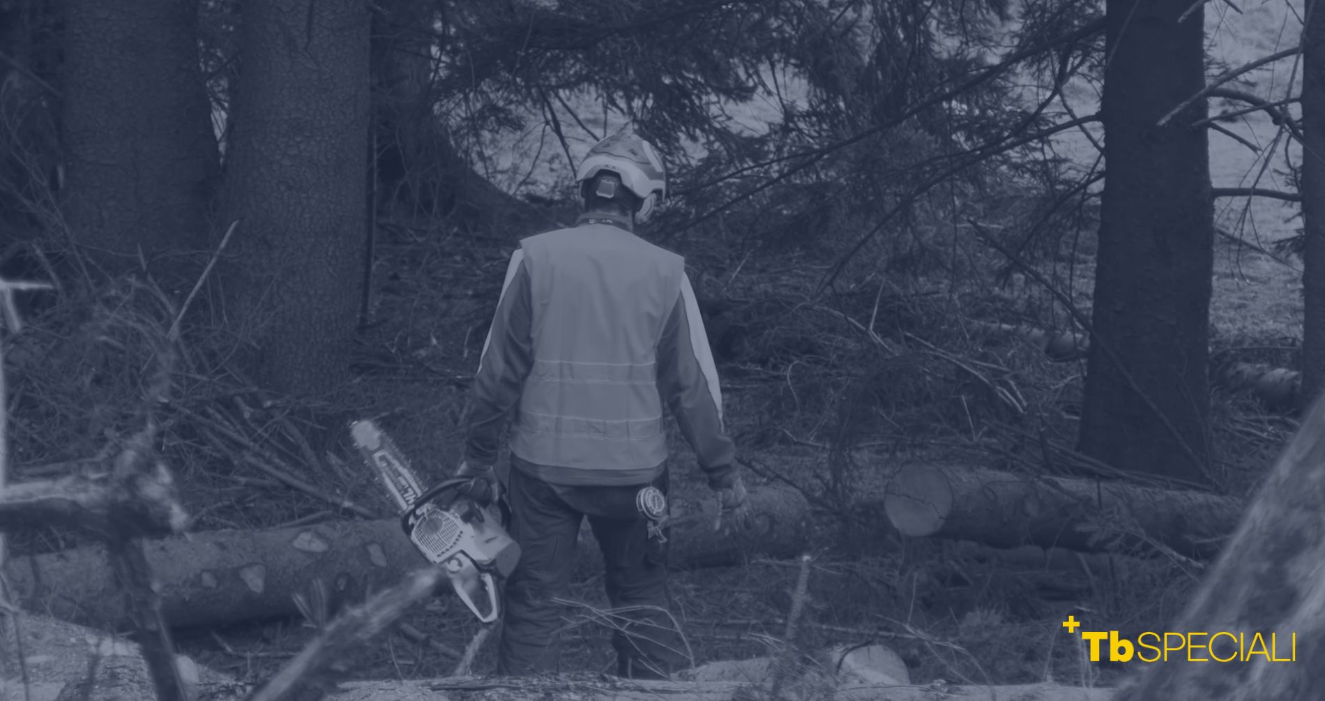 I custodi del bosco